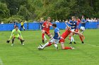 Men’s Soccer vs WPI  Wheaton Men’s Soccer vs Worcester Polytechnic Institute. - Photo by Keith Nordstrom : Wheaton, Men’s Soccer
